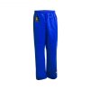 Blue Basic Pants